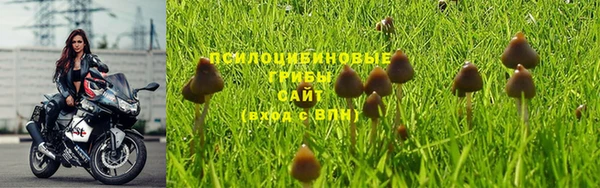 альфа пвп Анива