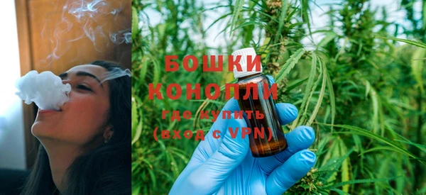 прущие крисы Мегион